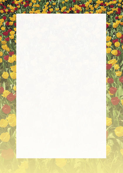 Galeria papieru arkusz ozdobny Tulipany